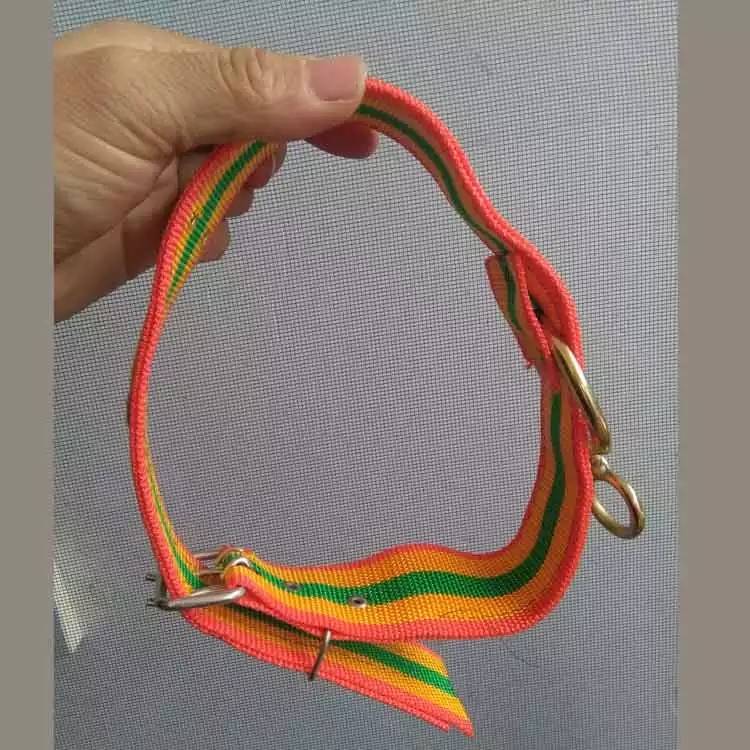 One collar